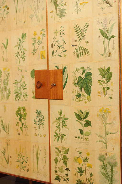 flora cabinet