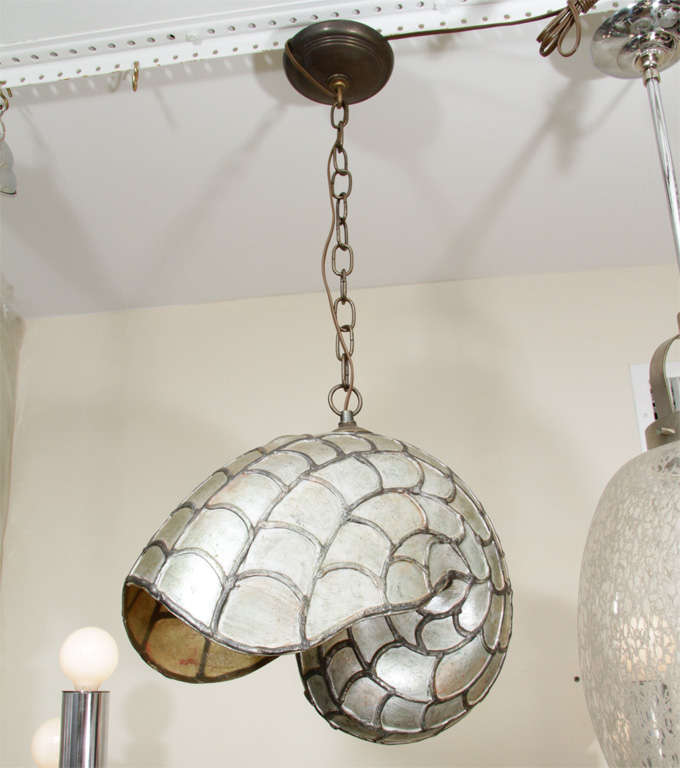 Nautilus form resin light fixture