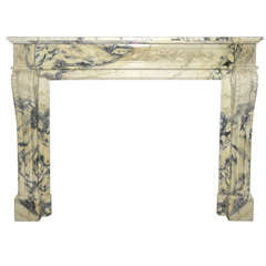 An early 19th century French Neoclassical marble fireplace / mantel piece