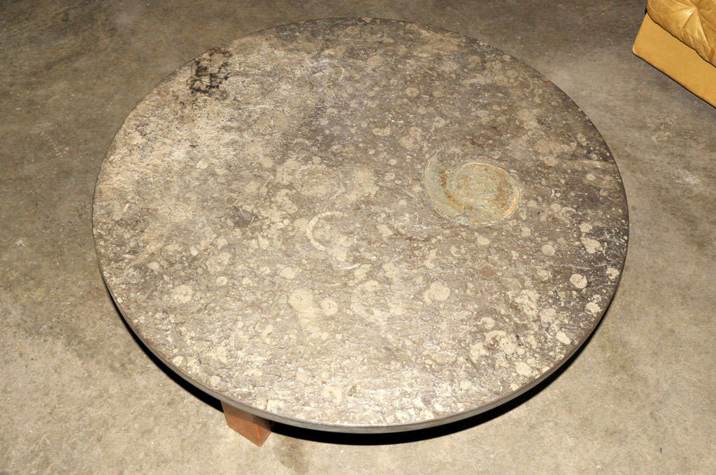 Mid-20th Century important Brazilian limestone coffee table with fossils