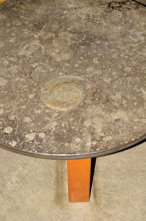 important Brazilian limestone coffee table with fossils 3