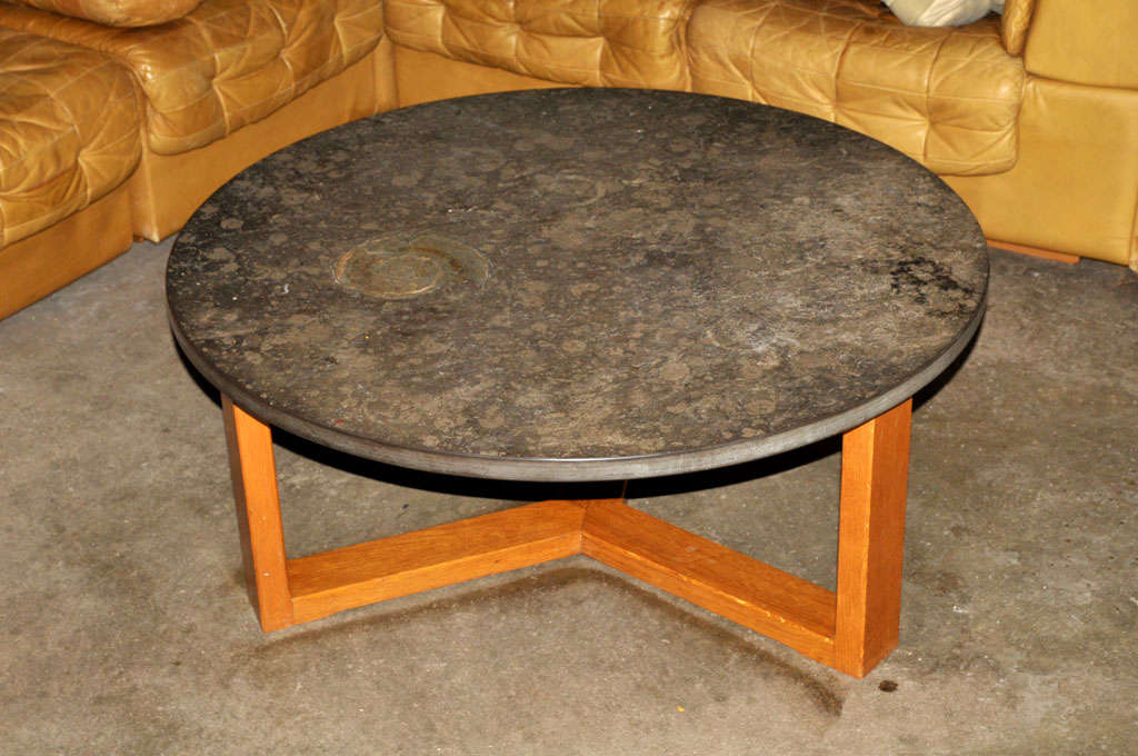 important Brazilian limestone coffee table with fossils at ...