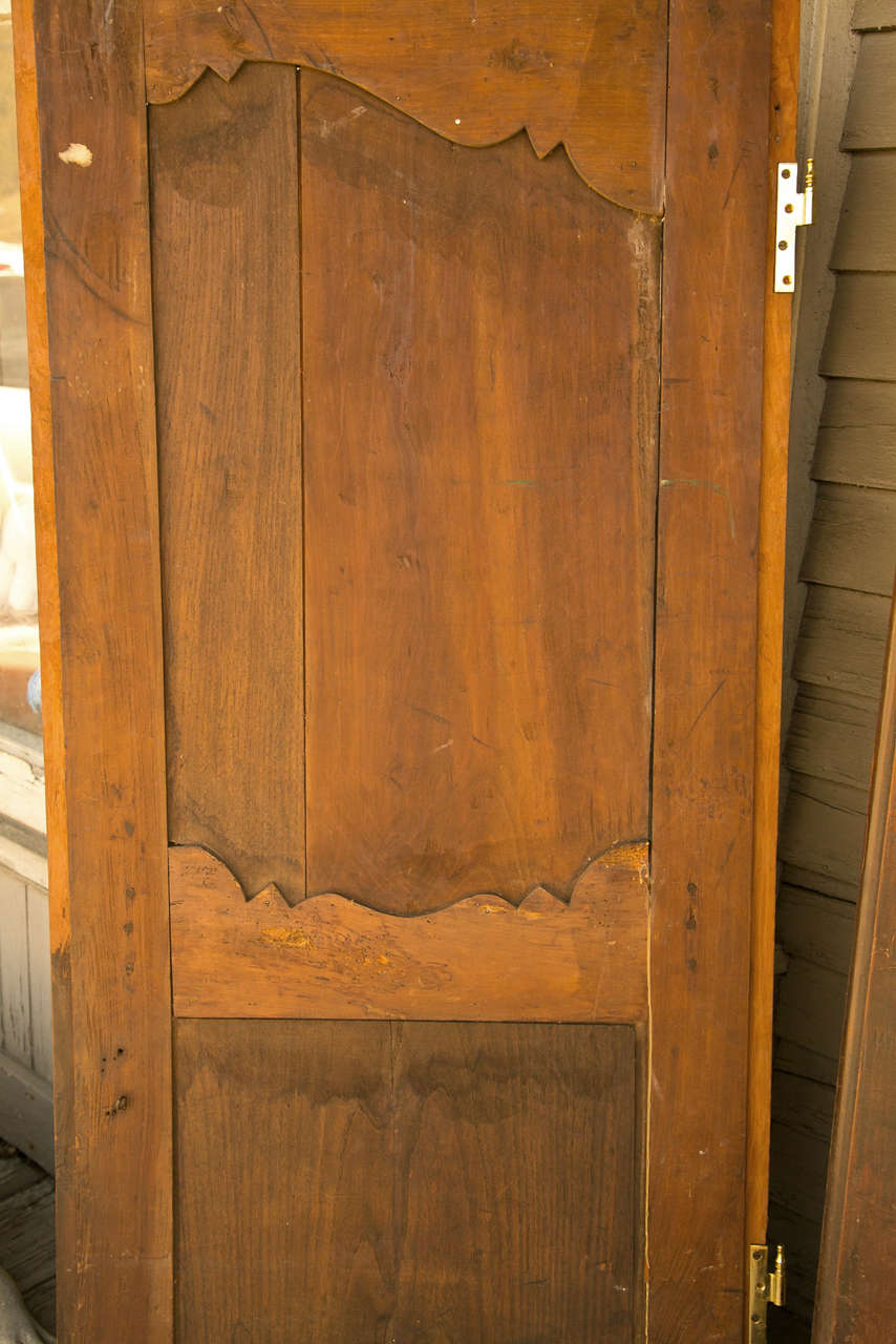 19th Century Pair of Hand Carved Doors