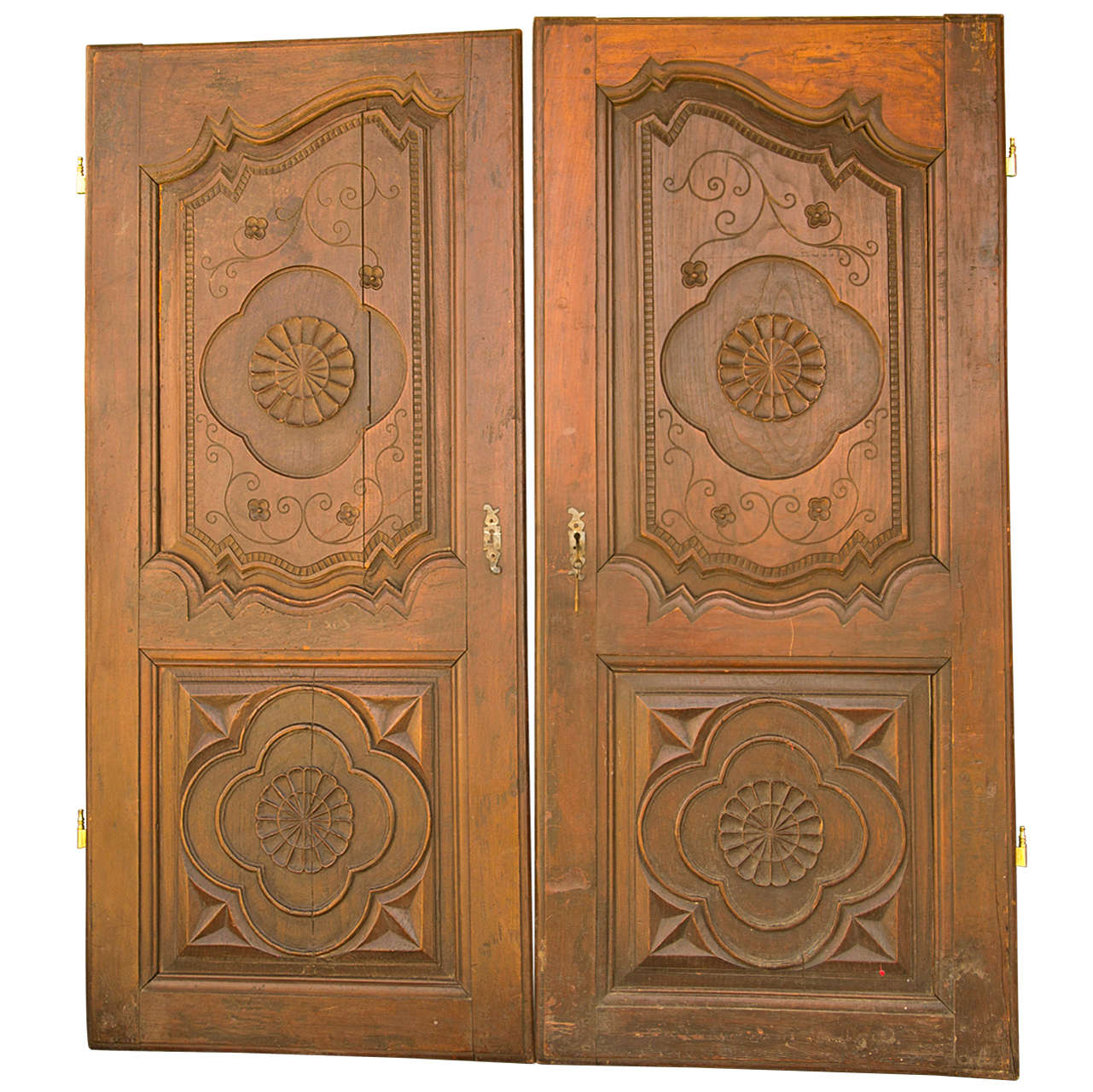 Pair of Hand Carved Doors