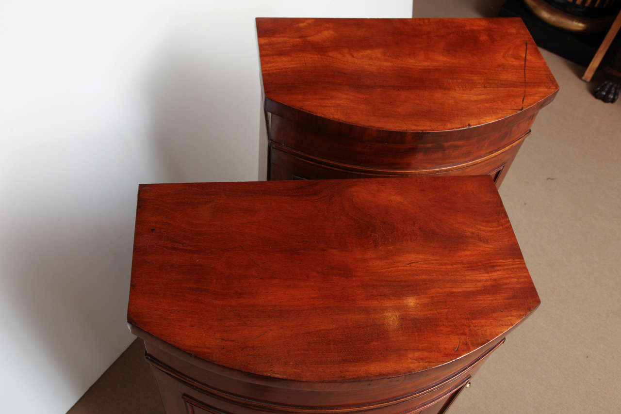 Pair of Early 19th Century Danish, Mahogany Cupboards For Sale 5