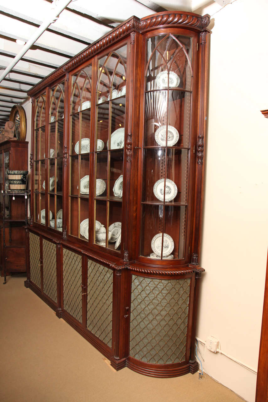 Exceptional Irish Regency Library Bookcase Manner of Mack, Williams and Gibton at 1stDibs