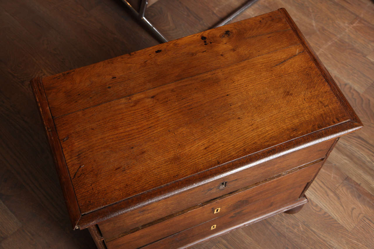 Unknown  19th Century Flemish Chest For Sale