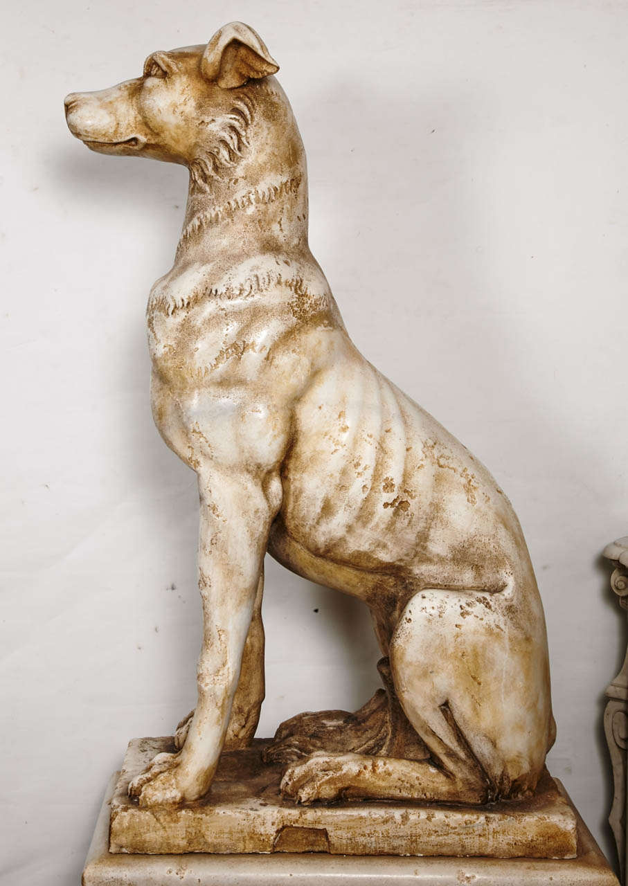 19th Century Italian Pair of Greyhounds in Marble For Sale 5