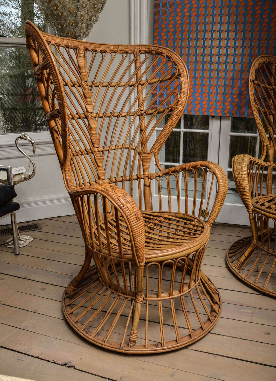 Pair of cane chairs by Lio Carminati.