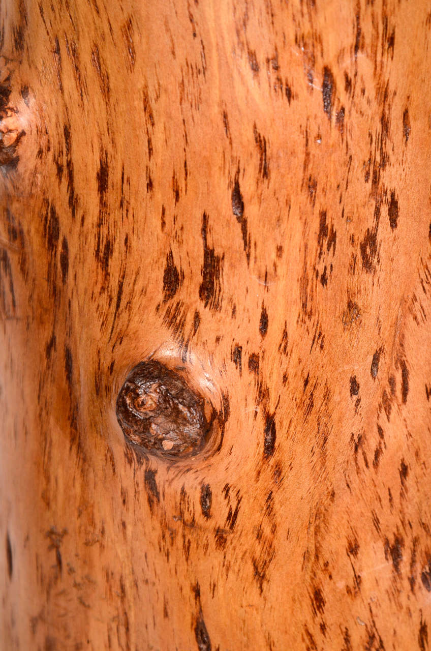 Tall Umbrella Stand made of Vintage Spruce Tree Trunk at 1stDibs tree