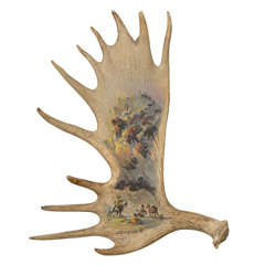 Moose Antler