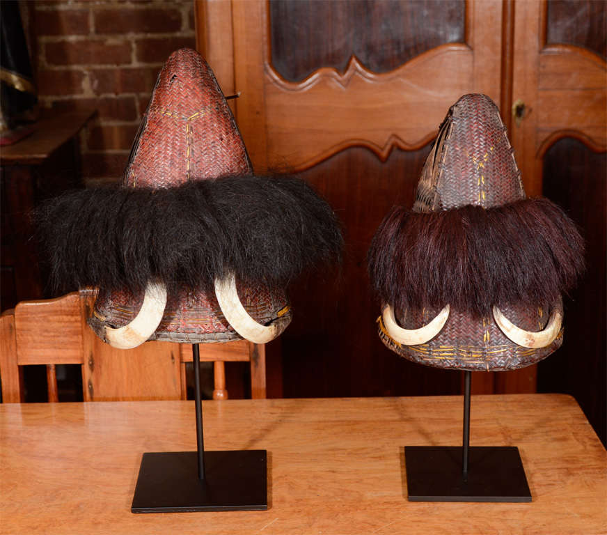 Nagaland Hats w/  Boar Tusks