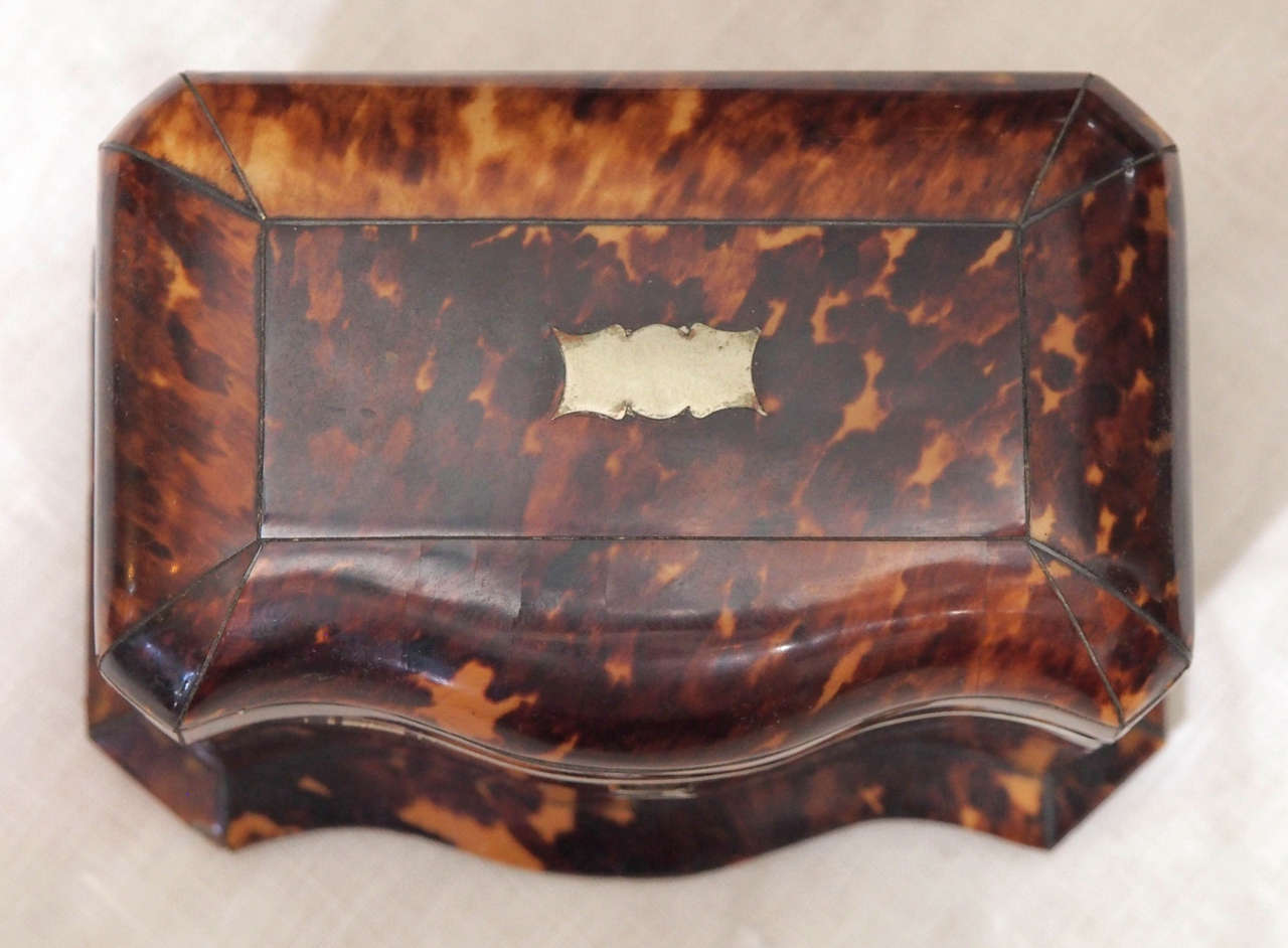 19th Century English Victorian Tortoiseshell Tea Caddy