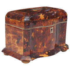 English Victorian Tortoiseshell Tea Caddy