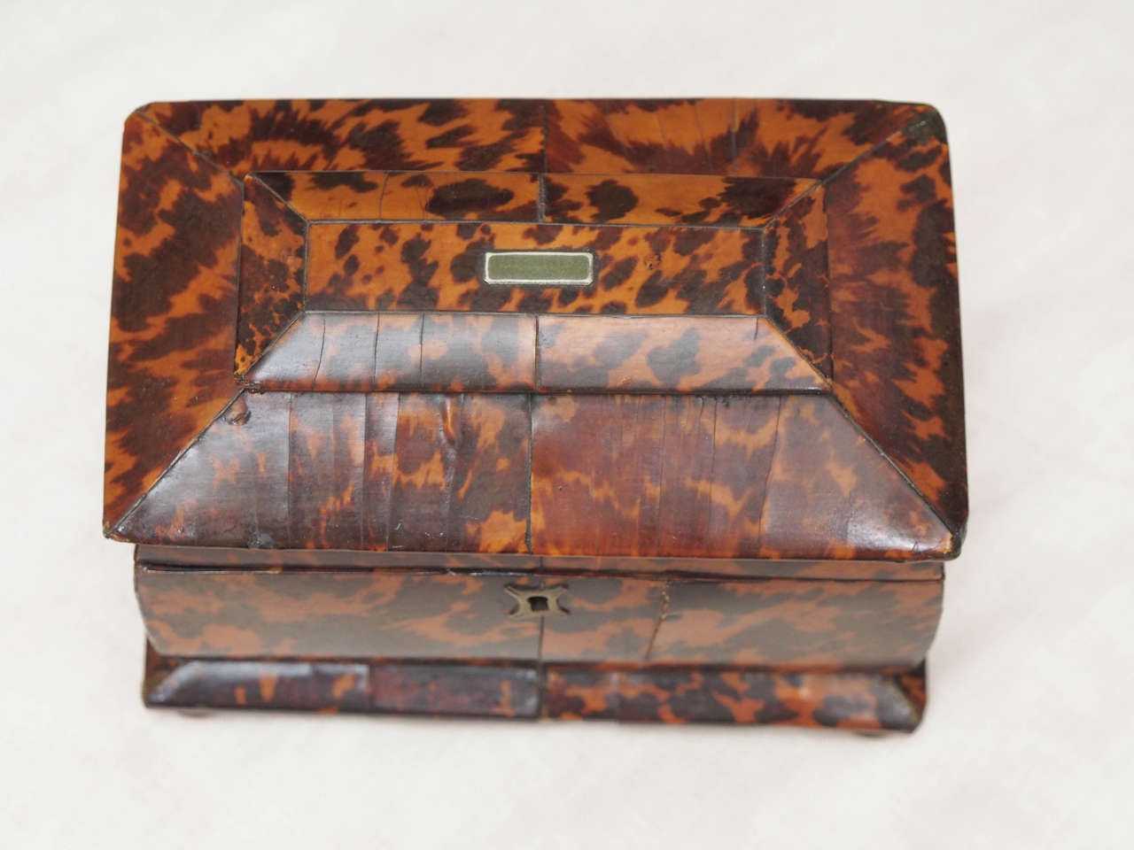 English Regency Tortoishell Tea Caddy In Good Condition For Sale In Natchez, MS