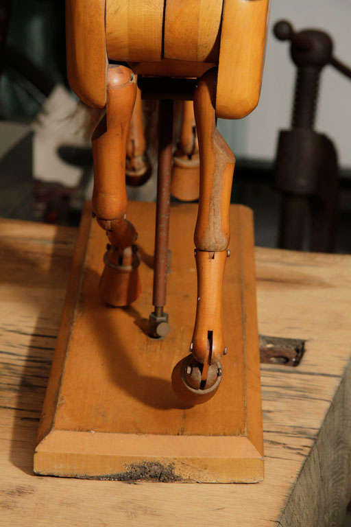 Wood Fine Belgiun Articulated horse model