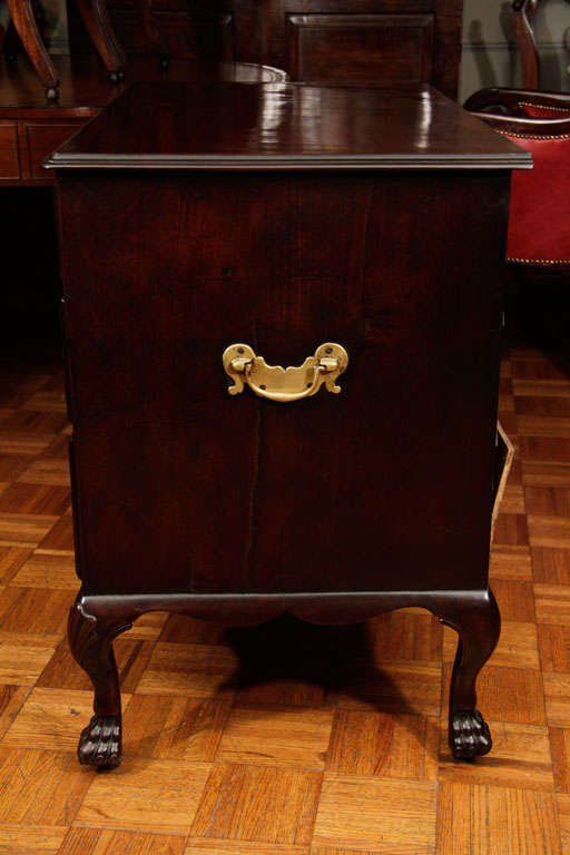 Georgian Chest of Drawers on Carved Cabriole Legs with Feet For Sale at