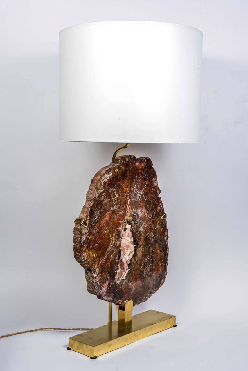 Stunning Pair of Bronze and Petrified Wood Lamps