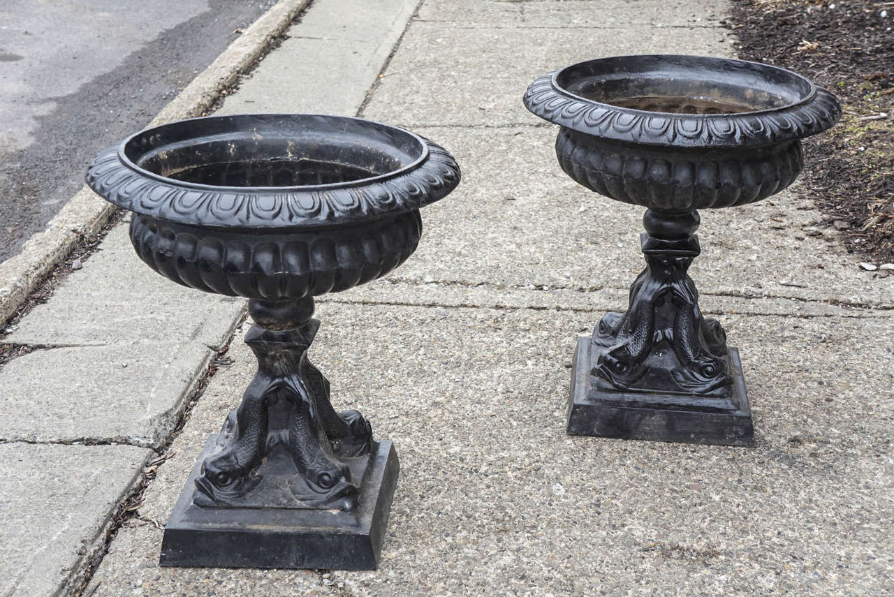 This interesting pair of metal urns are inspired by the classical past but have reinterpreted decorative elements making them unique and unusual. The ribbed bowl is topped by a deeply cast egg & dart border and rests upon a ball supported on four