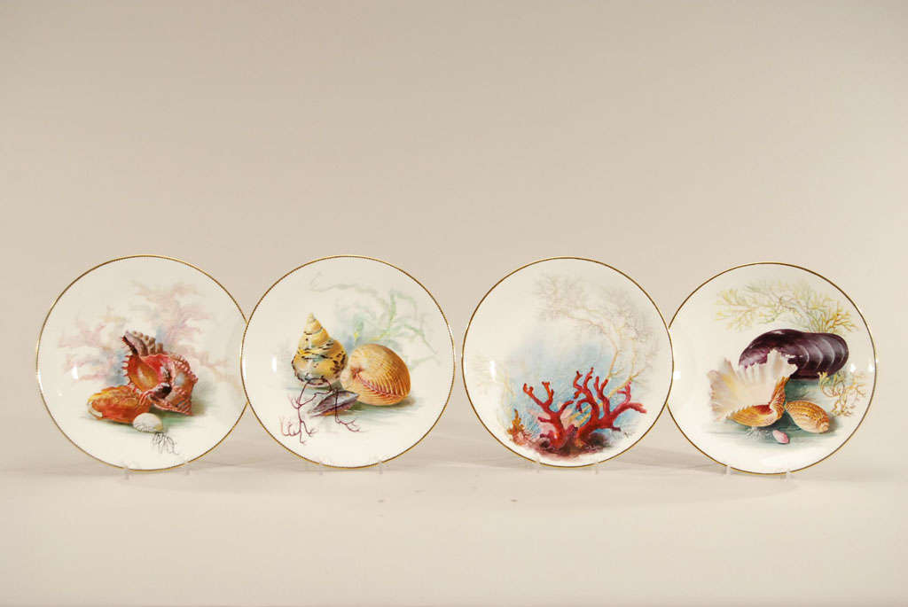 Minton Hand Painted Cabinet Plates Of Shells