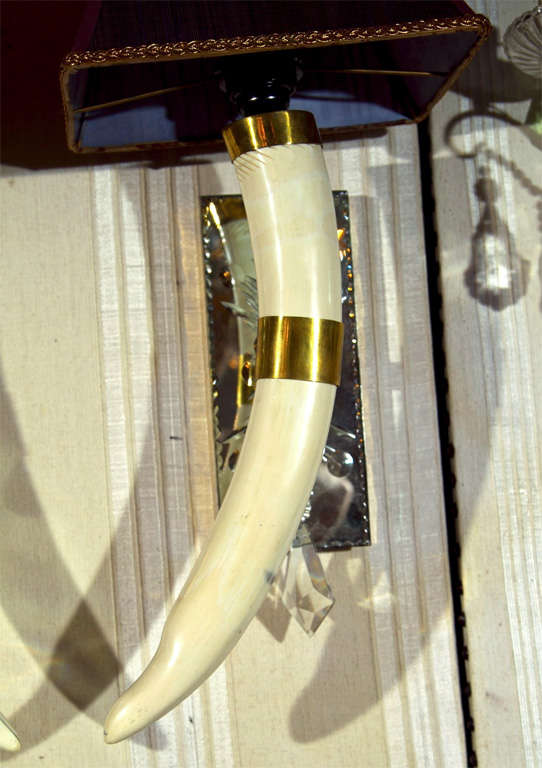 American Pair of Ivory Tusks Wall Sconces