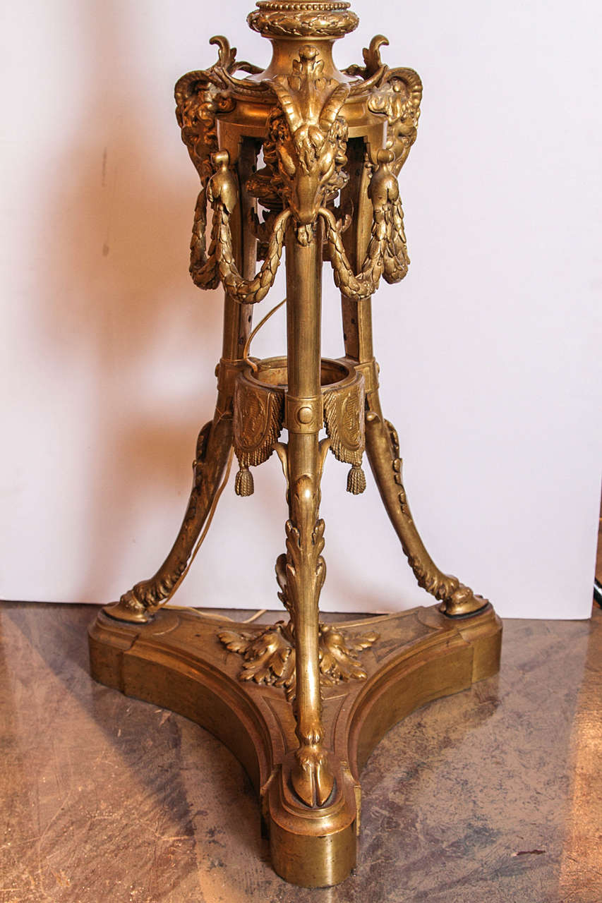 19th c French Louis XVI gilt bronze torchiere floor lamp. Finely detailed gilt bronze rams head details with swags and hoofed feet