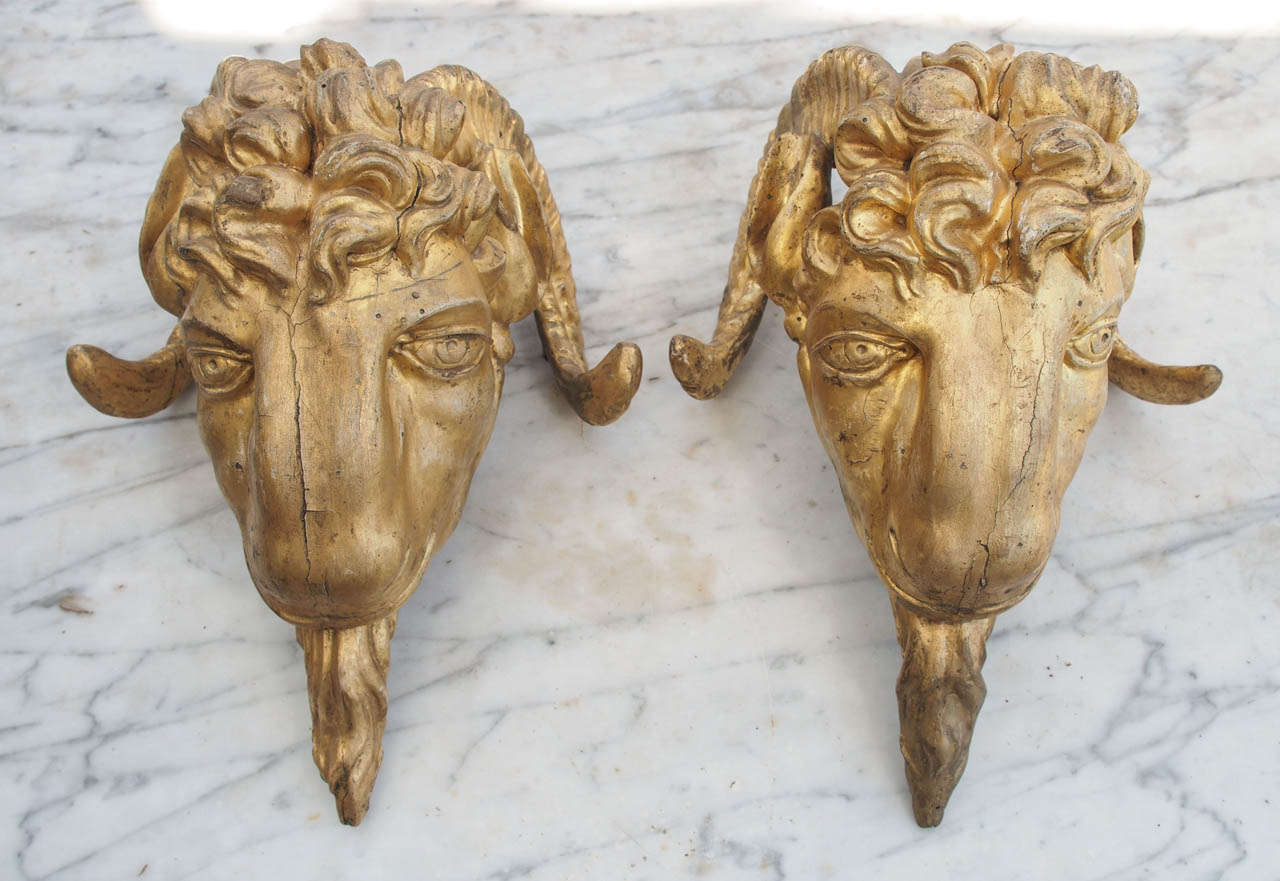 Pair of Louis XVI Gilt Carved wood rams heads. 18th c. These were probably used for the tiebacks for a bed corona on the corners. 
They have iron brackets on the rear for mounting.