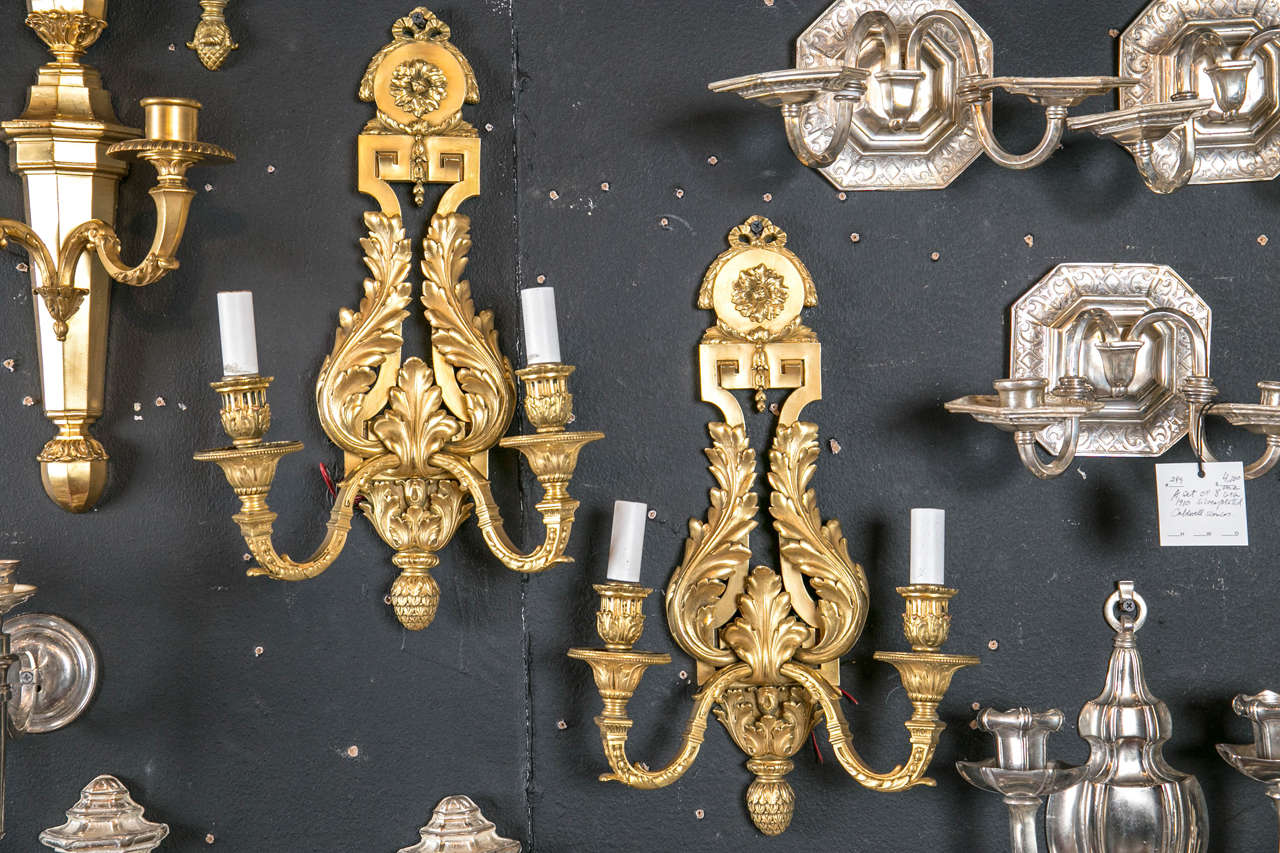 c. 1900's Caldwell neoclassical stye gilt bronze sconces, with acanthus leaves.