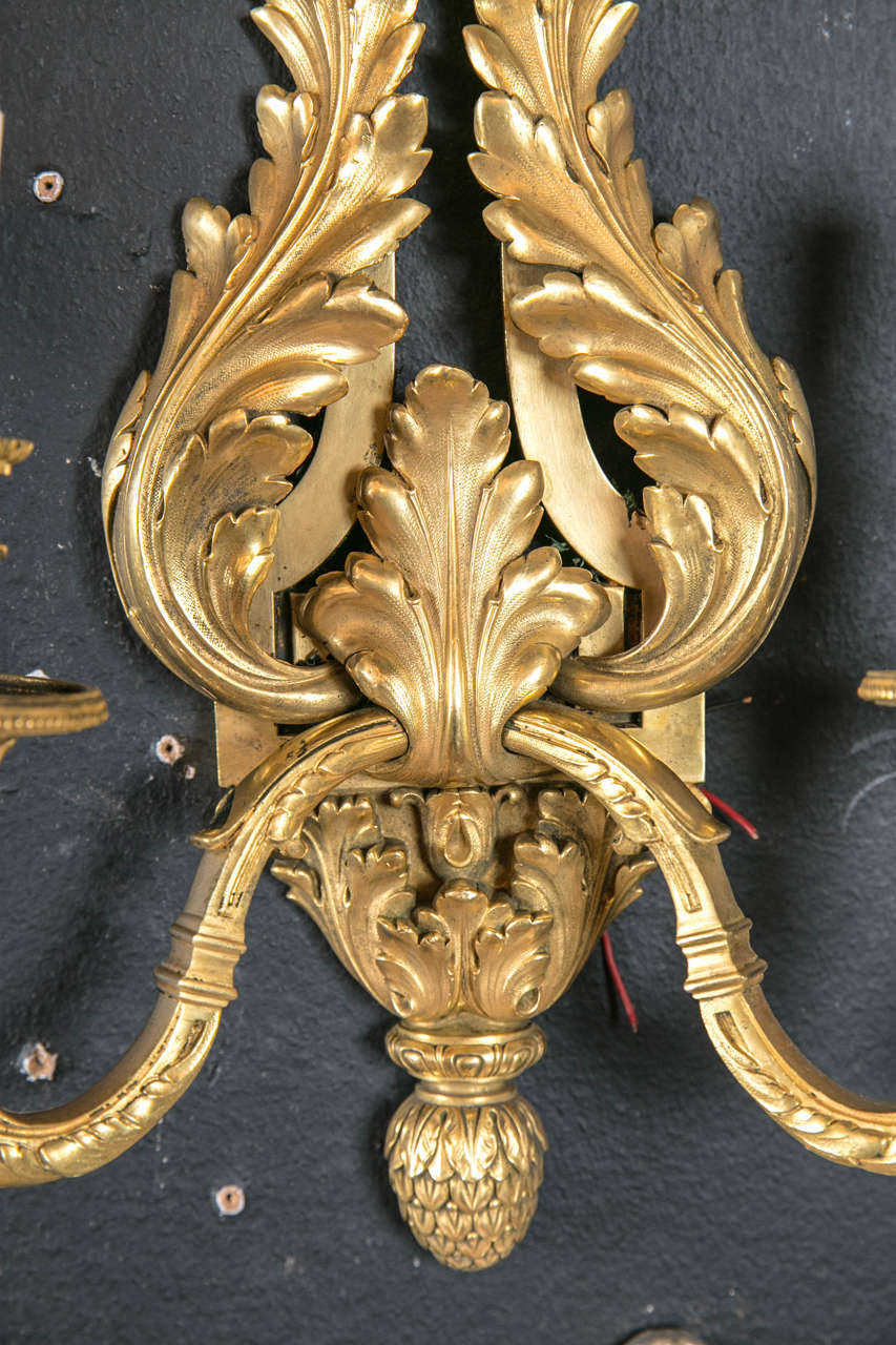 Caldwell Neoclassical Style Gilt Bronze Sconces, circa 1900s In Excellent Condition For Sale In Stamford, CT