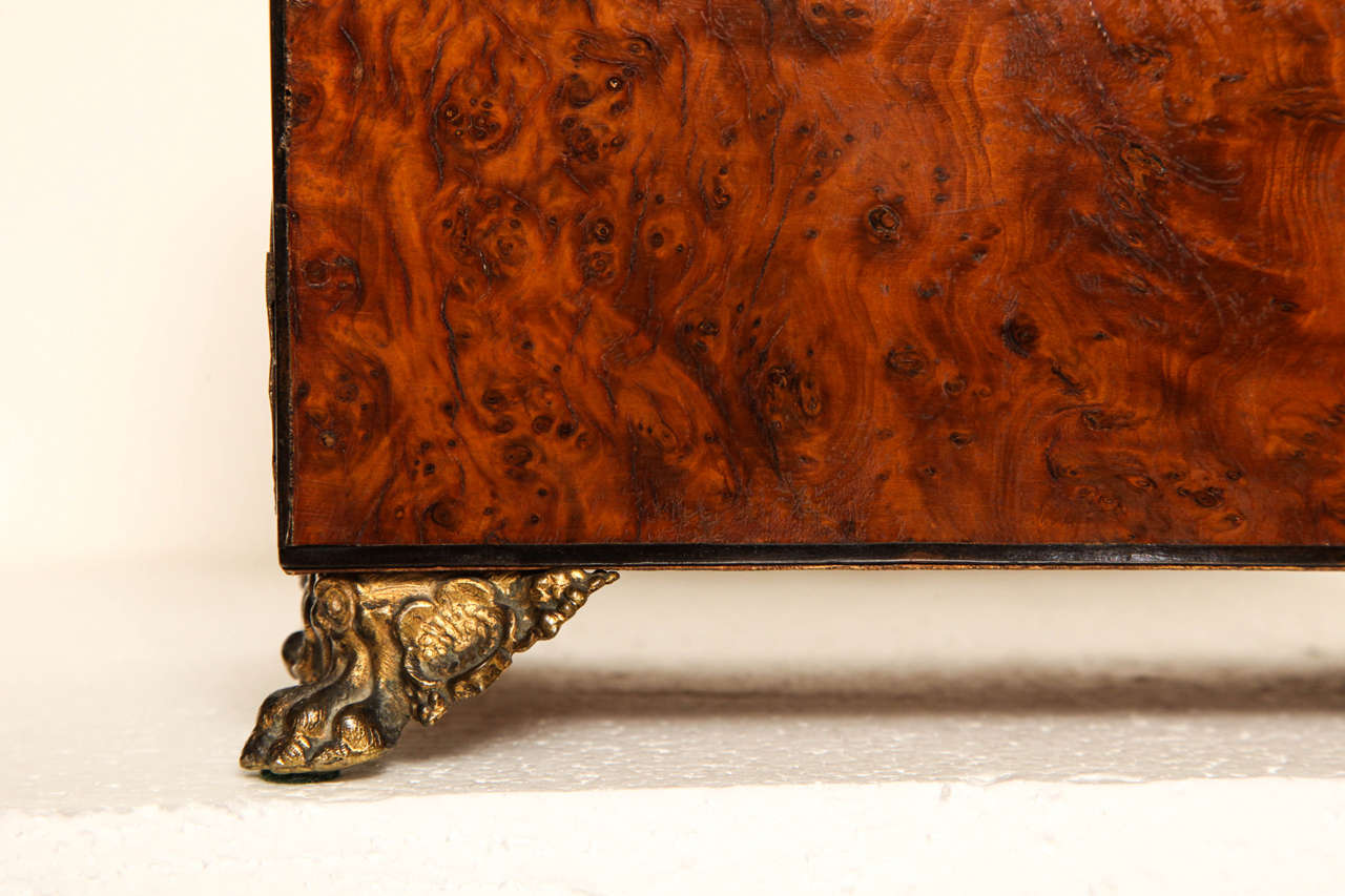 19th Century English Regency Burl Walnut Tea Caddy In Excellent Condition In New York, NY