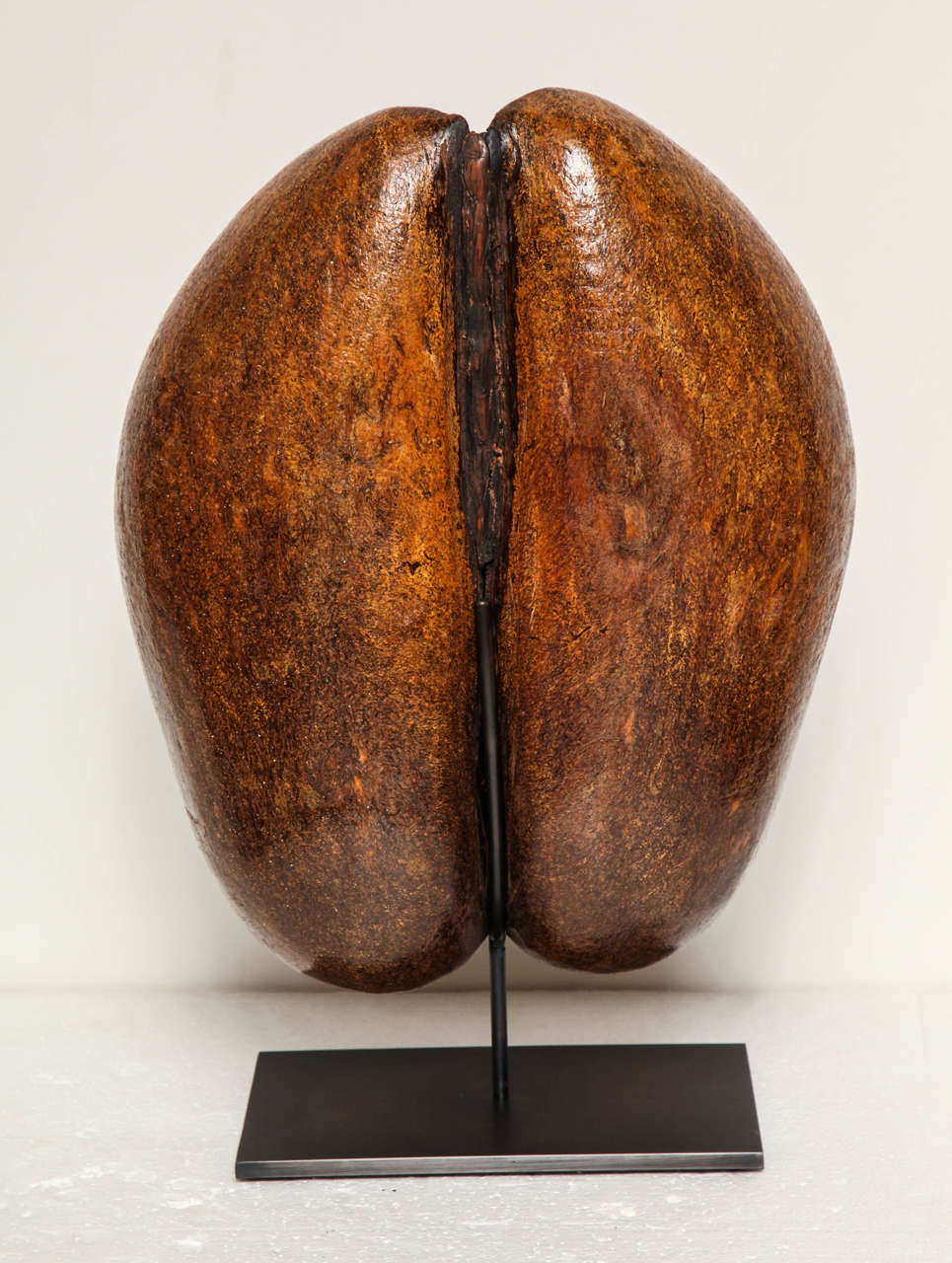 One Coco de Mer on a Steel Stand at 1stDibs