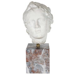 19th Century Marble Bust