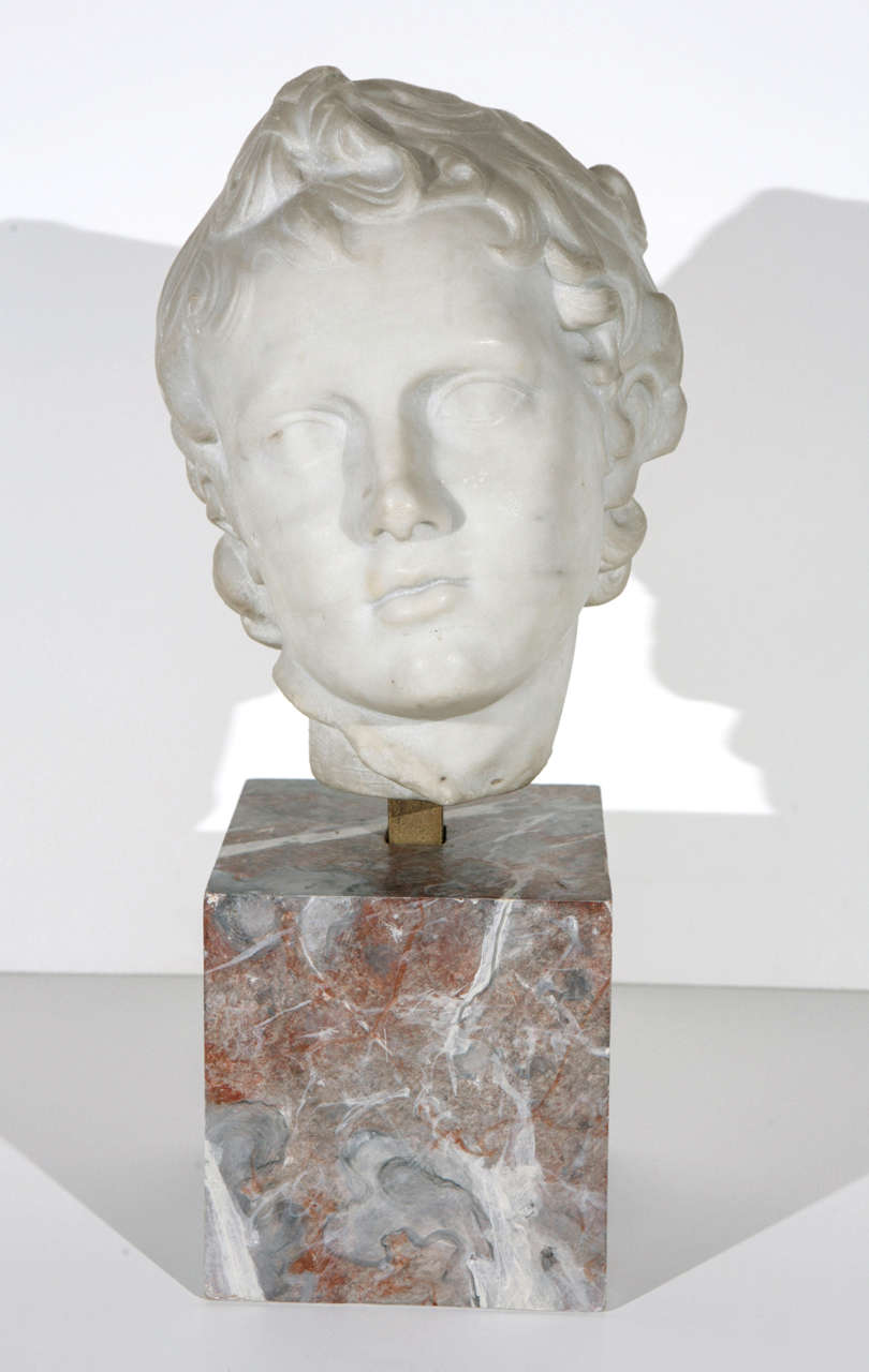 Classical Roman 19th Century Marble Bust