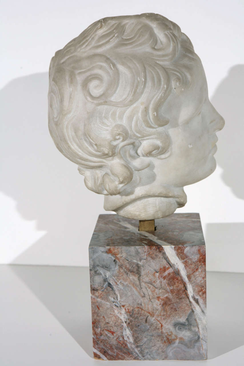 19th Century Marble Bust In Good Condition In Newport Beach, CA