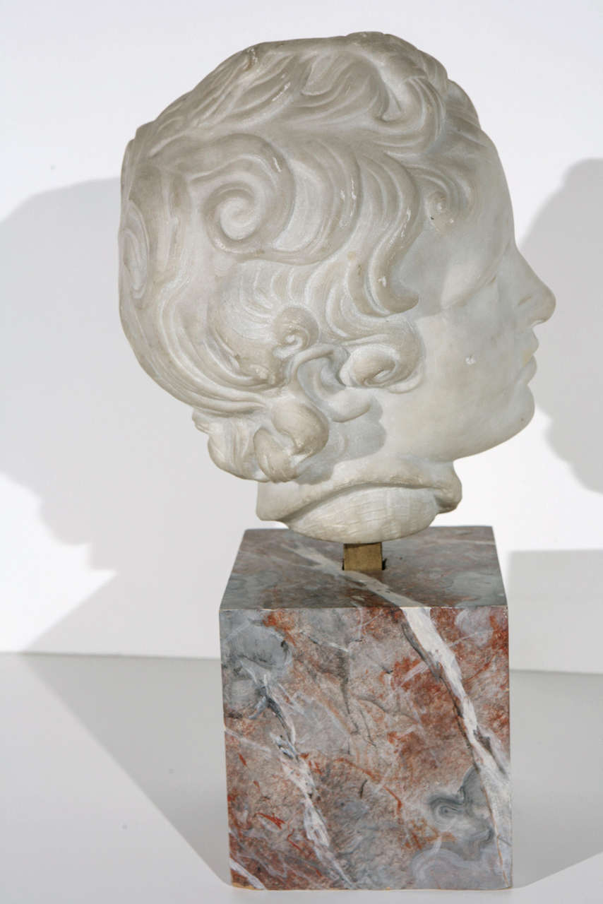 19th Century Marble Bust In Good Condition In Los Angeles, CA