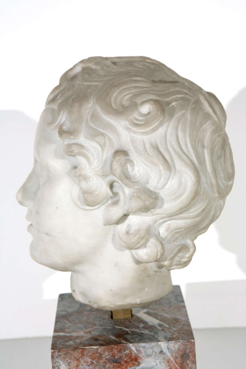19th Century Marble Bust 4