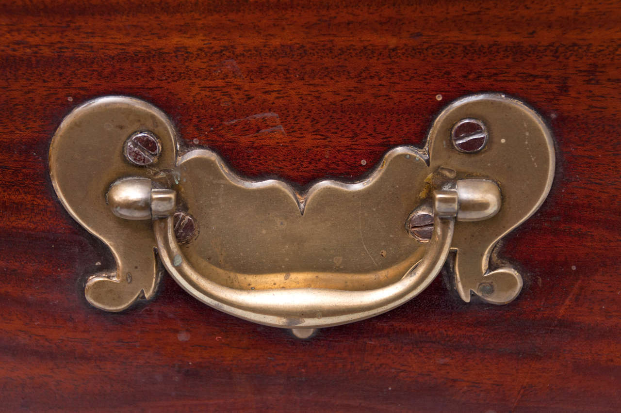 Rare Mahogany Wine Cooler For Sale at 1stdibs