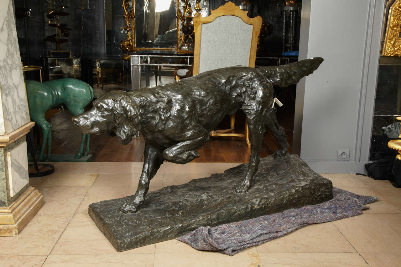 Elegant hunting bronze dog, brown patina