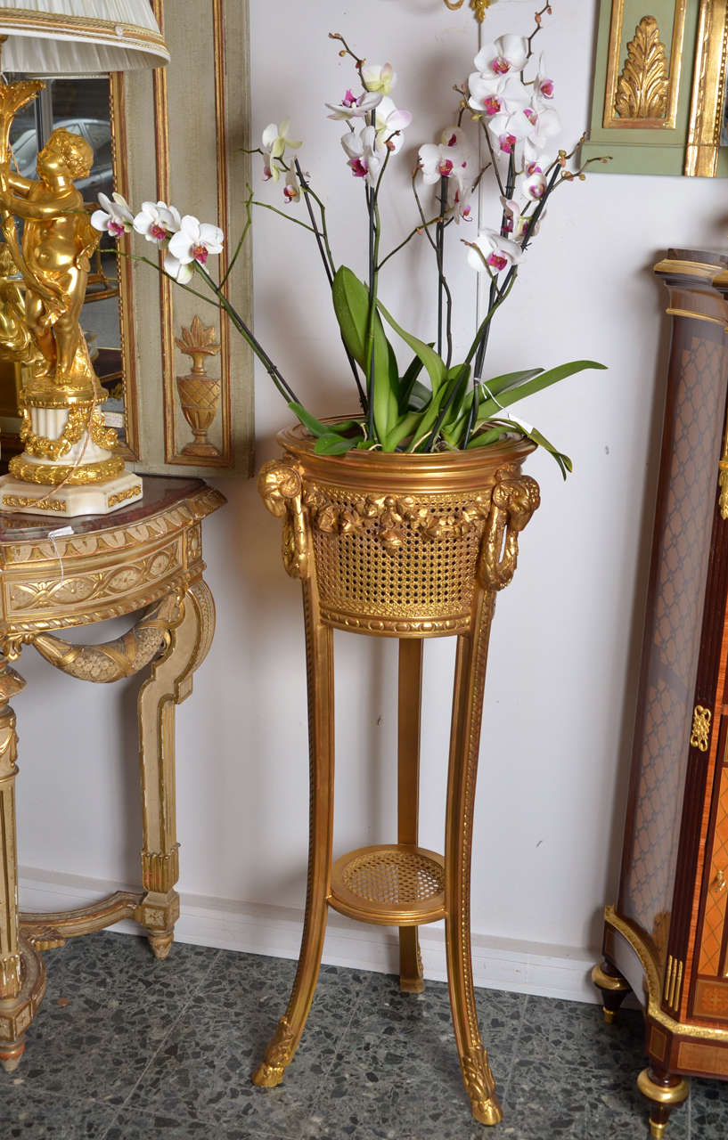 Louis XVI Gorgeous Gilded  Wood And Canned Jardiniere For Sale