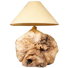 Root Lamp