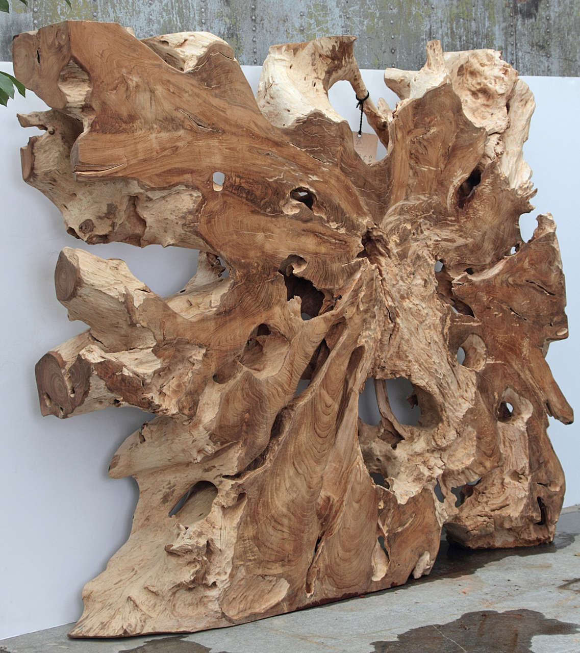 Lychee Wood Organic Sculptural Expression 
For Indoor or Outdoor Use
Put a glass top on it, can be used as a side table