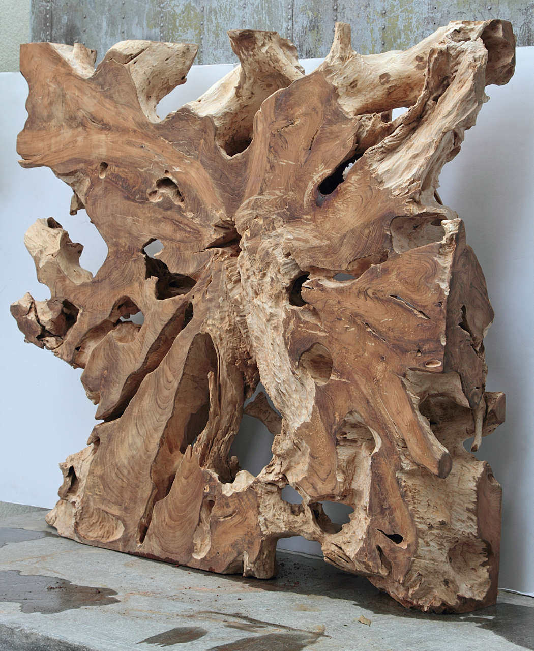 Lychee Wood Organic Sculptural Expression 4