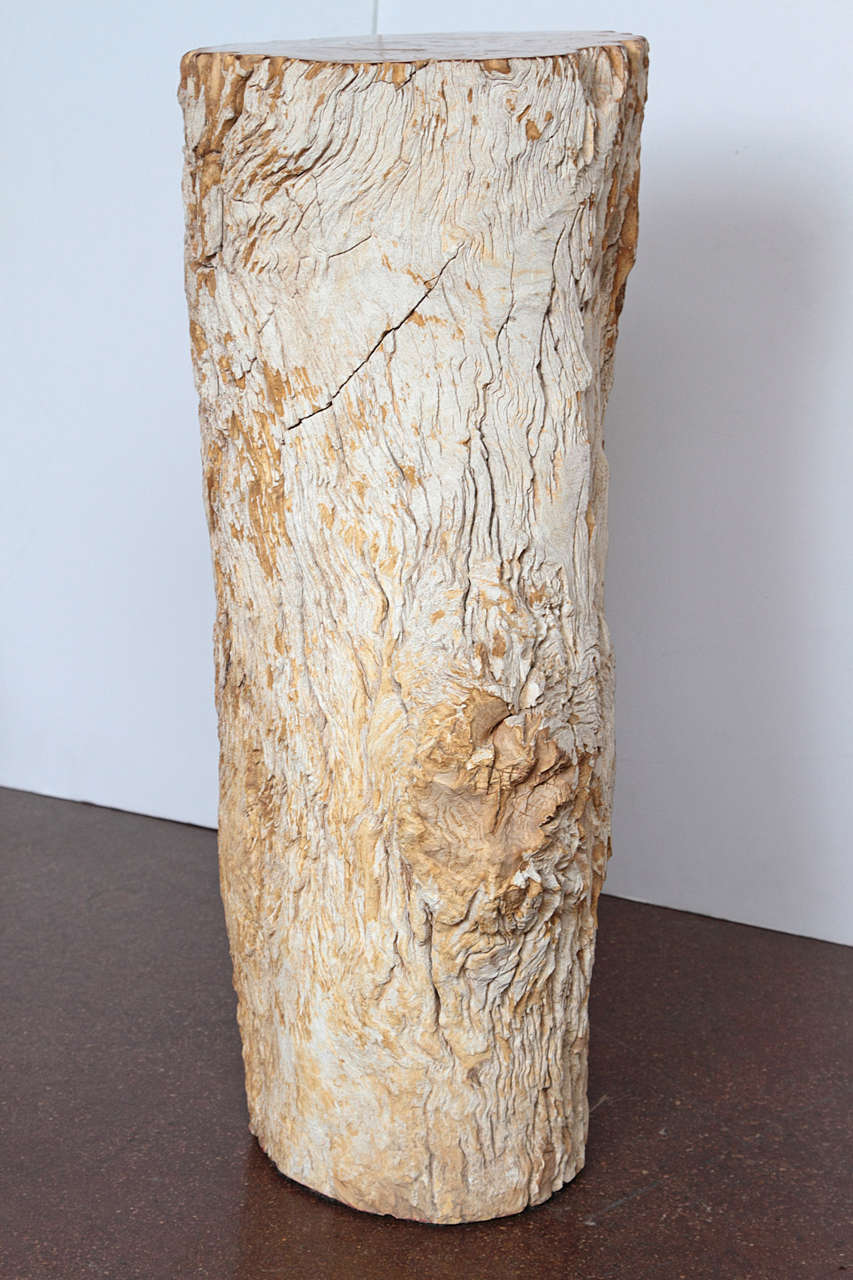 Natural rough textures with smooth glazed marble texture on top.

Can be used as pedestal, side table or decorative accessory. 

The log is originally over 200 million years old. This fossil can be used as an organic modern piece for your