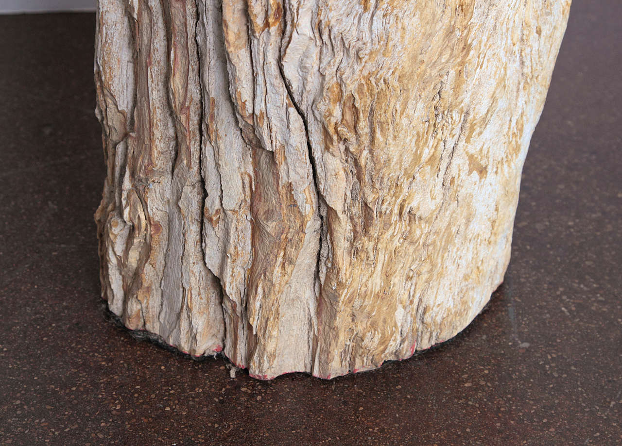 Petrified Wood Petrified Log Table