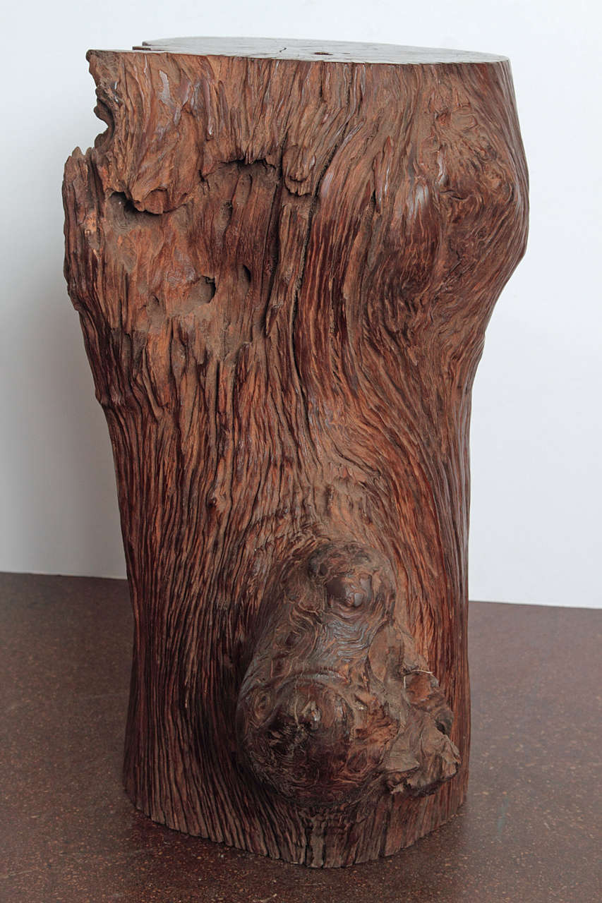 Organic ironwood tree trunk, splinter-free, clear coat wax to enhance shine. Natural appearance of grains with a deep brown-red coloration. 

Can be used for indoor or outdoor use. 
Can be use as pedestal decorative accessory, or side table.