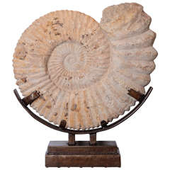 Grande sculpture de fossile de coquillage sur support en fer personnalisé
