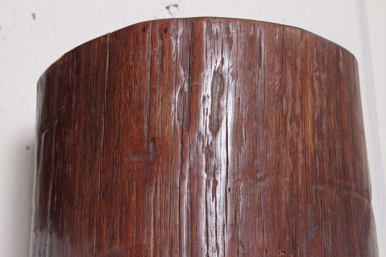 Organic Tall Ironwood Log as Pedestal 1