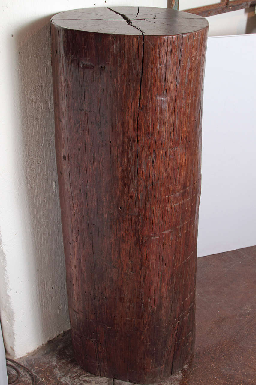 Organic Tall Ironwood Log as Pedestal 2