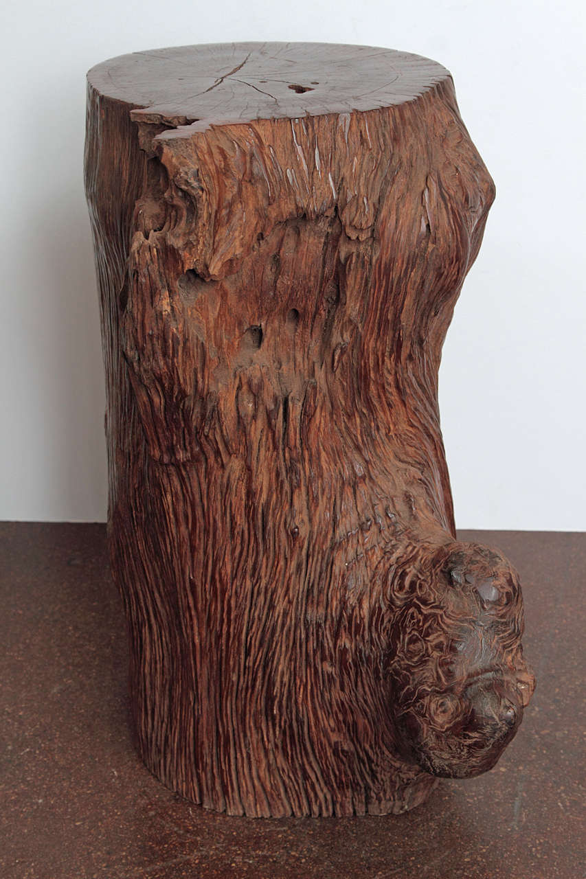 Organic Ironwood Tree Trunk at 1stDibs tree trunk for sale, tree