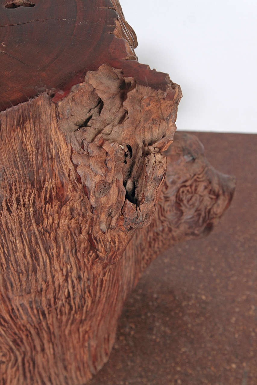 Organic Ironwood Tree Trunk at 1stDibs tree trunk for sale, tree